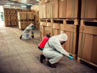 Exterminators in warehouse spraying pesticides with sprayer