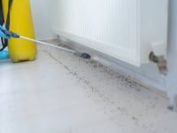 Male Worker Spraying Insecticide With Sprayer At Home